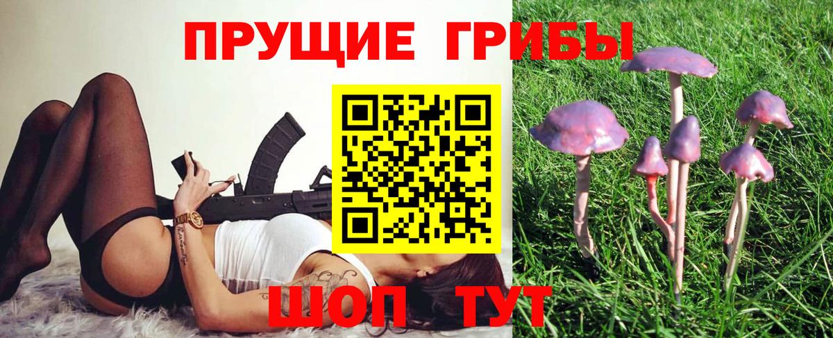 Электрогорск  Псилоцибиновые грибы Magic Shrooms  Вход с VPN  Псилоцибиновые грибы Cubensis 
