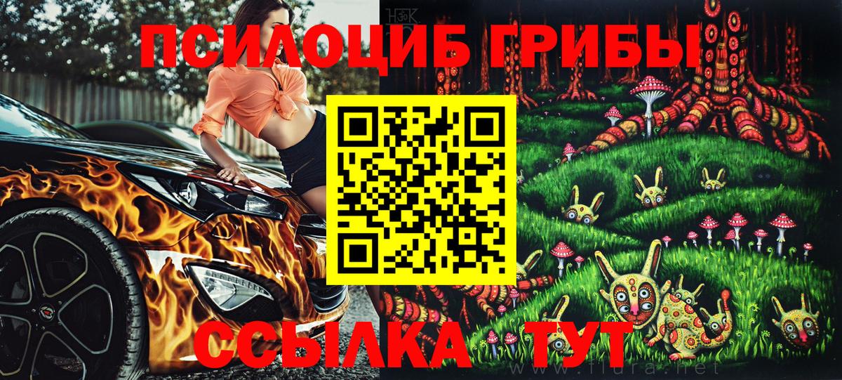 Псилоцибиновые грибы ЛСД Электрогорск